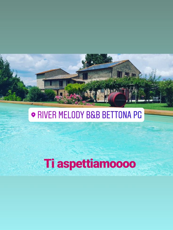 Une vue accueillante d'une chambre d'hôtes avec piscine entourée de verdure, idéale pour des moments de détente.