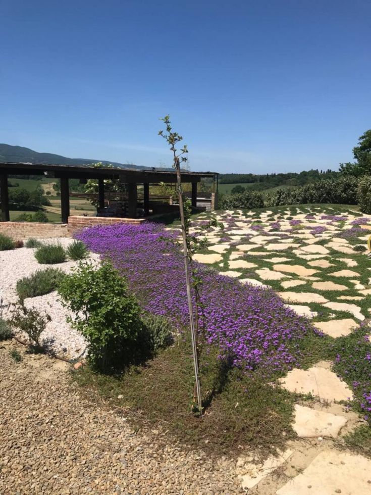 Ein blühender Garten mit lila Blumen und Steinwegen unter einem klaren Himmel.