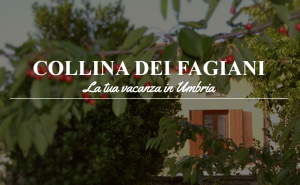 Agriturismo immerso nella natura umbra e nella storia locale, perfetto per trascorrere momenti di relax.