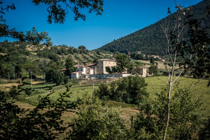 Un tranquillo borgo medievale circondato da colline, vigneti e oliveti, perfetto per una fuga nella natura.
