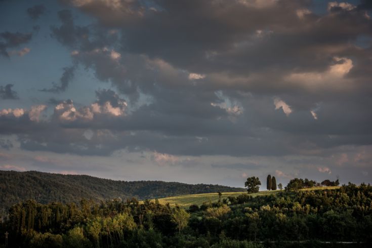 Panorama di colline verdi sotto un cielo nuvoloso, con vegetazione abbondante e rilassante.