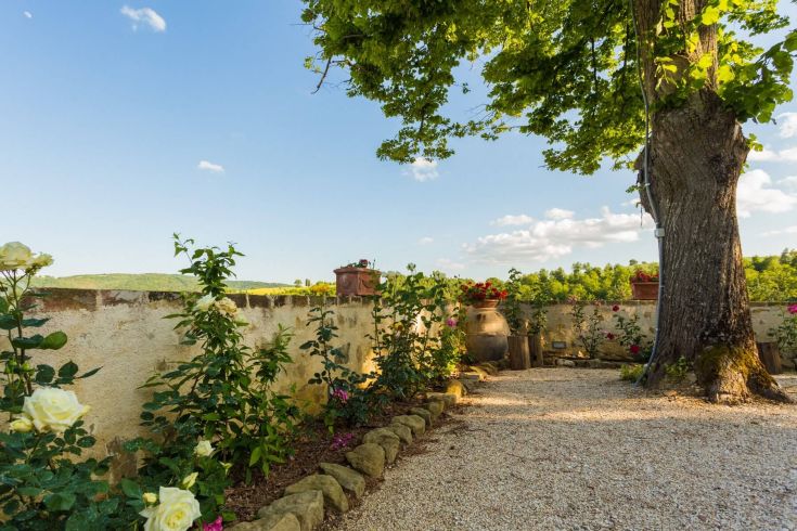 Un angolo sereno di un borgo, con piante e un grande albero, circondato dalla natura.