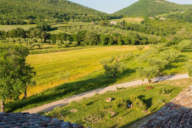 Un panorama sulla campagna caratterizzata da uliveti e colline verdi.