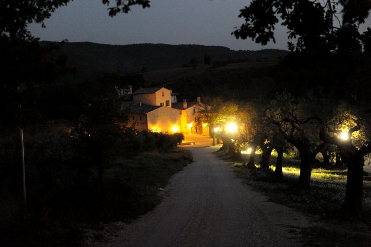 Un tranquillo borgo illuminato di notte, circondato da campagna verde e atmosfera serena.