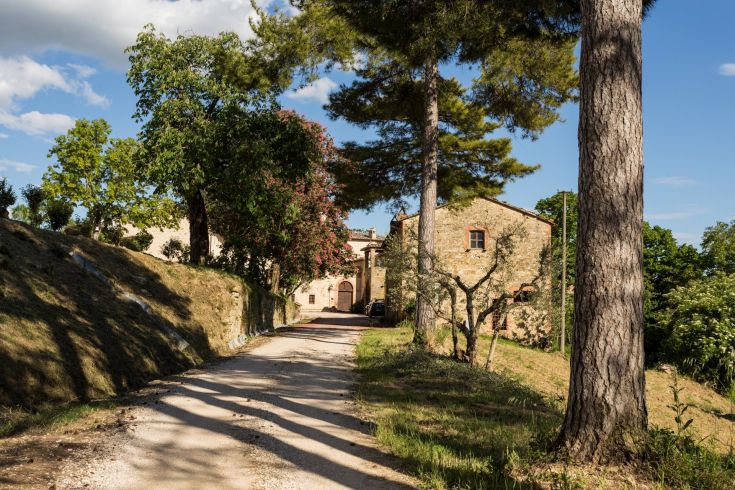 Un viale ombreggiato da alberi porta a un borgo storico circondato dalla natura.