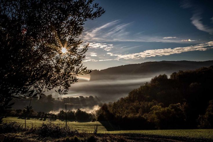 Paesaggio di campagna immerso nella nebbia del mattino, con fasci di sole che filtrano attraverso.