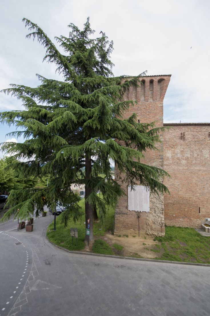 A historic building located in a green area, overlooking open spaces and squares.