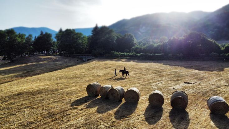 Un cavallo e un cavaliere si muovono in un prato vasto, circondati da alcune balle di fieno.
