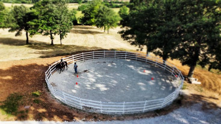 Una scena di addestramento di cavalli in un campo rotondo circondato dalla campagna.