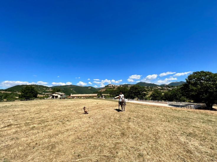 Un tranquillo paesaggio di campagna con un cavaliere e un cane che esplorano un campo aperto.