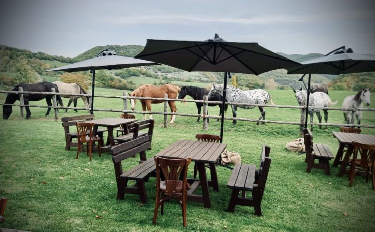 Panorama rurale con tavoli all'aperto e cavalli nel prato.