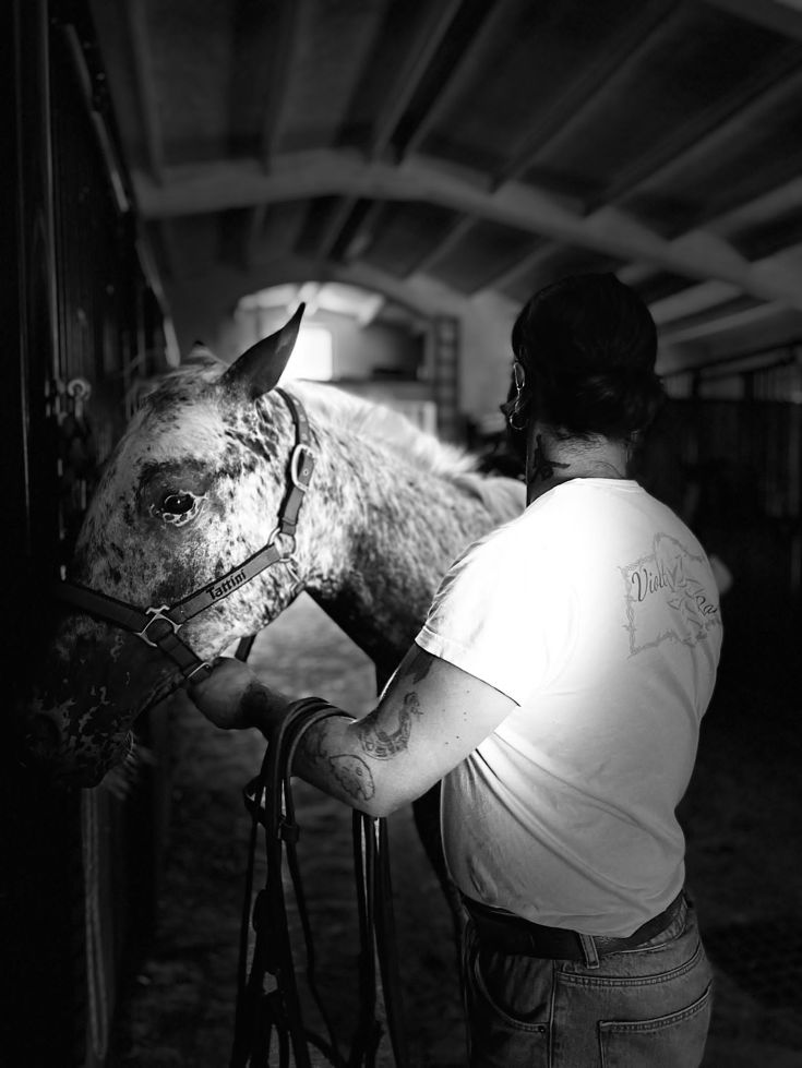 Un cavaliere in sella al suo cavallo in un contesto rurale tranquillo.