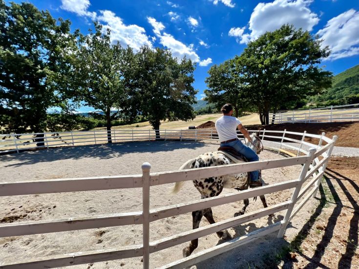 Un cavaliere in sella a un cavallo pezzato, si trova all'interno di un maneggio illuminato dal sole.