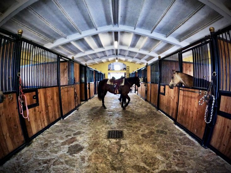 Interno di un edificio con stalle, cavalli e un'atmosfera serena.