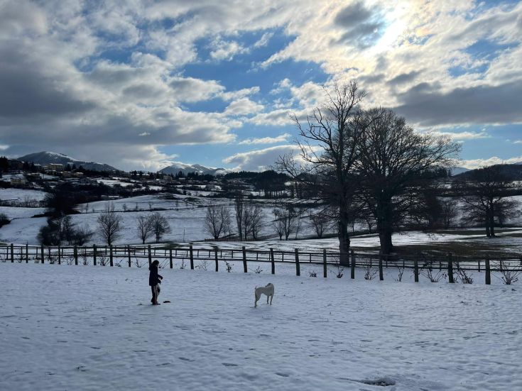 Un bambino si diverte con un cane in un paesaggio invernale tranquillo.
