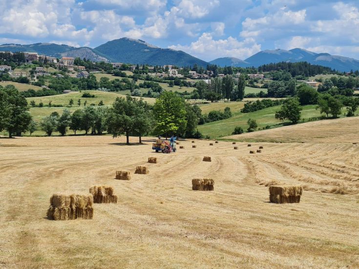 Un ambiente rurale in estate con balle di fieno e colline sullo sfondo.