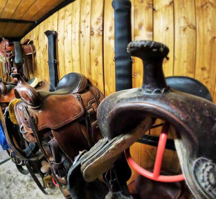 Alcune selle di cavallo appese a una parete in legno, pronte per essere utilizzate.