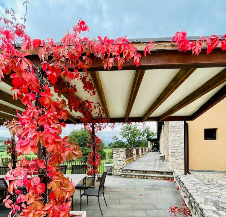 Un patio arredato con foglie rosse che si integra nel verde circostante. Perfetto per momenti di tranquillità.