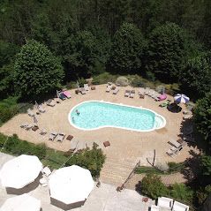 A scene of a swimming pool set amidst greenery, surrounded by trees and lounge chairs for outdoor relaxation.