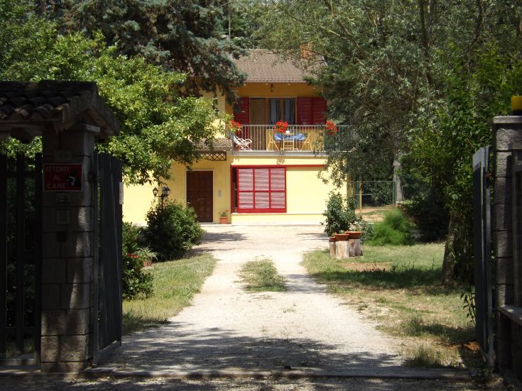 B&B Il Pizzagiallo, umgeben von Olivenbäumen, perfekt für Wandern und Entspannung.