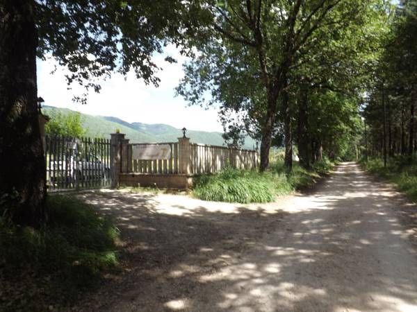 Ein ruhiger Weg, umgeben von Grün, mit Bäumen an den Seiten und einem Tor, das zu einer natürlichen Aussicht führt.