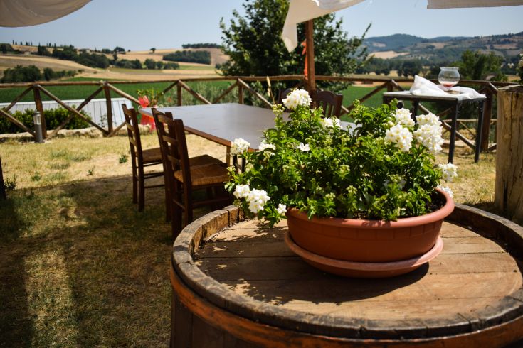 Ein ruhiger Außenbereich mit einem Tisch und blühenden Pflanzen, umgeben von der Natur.