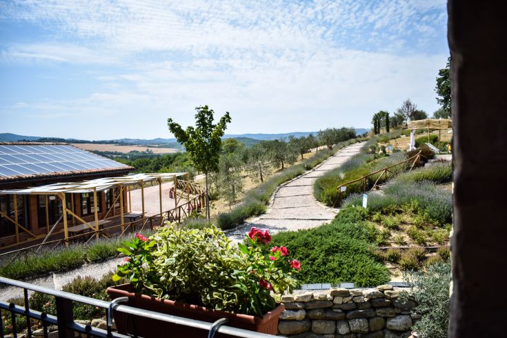 Ein Blick auf einen Bauernhof, umgeben von Olivenbäumen und Natur an einem ruhigen Tag.