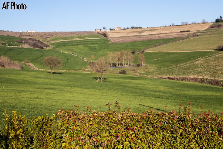 Eine ländliche Landschaft mit grünen Wiesen, verstreuten Bäumen und einem Bauernhaus in der Ferne.