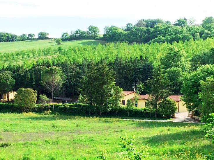 Agriturismo situato tra dolci colline, ideale per una pausa dalla vita cittadina.