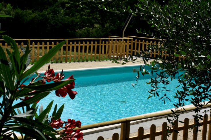 Una piscina tranquilla circondata da vegetazione, creando un'atmosfera rilassante e naturale.