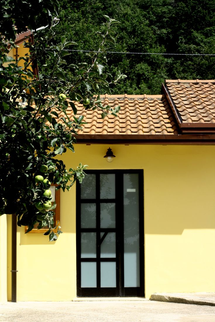 Un ambiente rilassato di un agriturismo con un portone e un melo carico di frutti verdi.