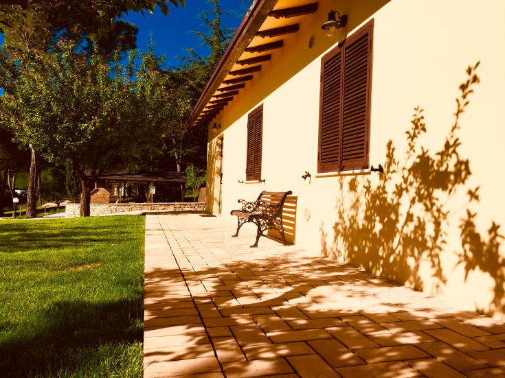 Una panchina collocata in un'area verde, trasmette un senso di tranquillità e serenità immersi nella natura.