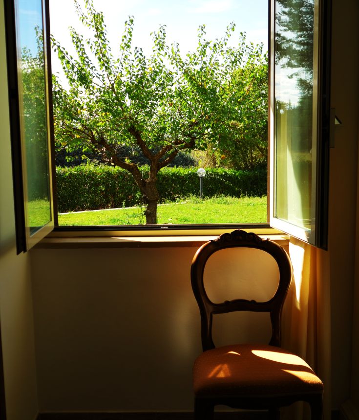 Una sedia posizionata vicino a una finestra, che si affaccia su un albero e un giardino verde.
