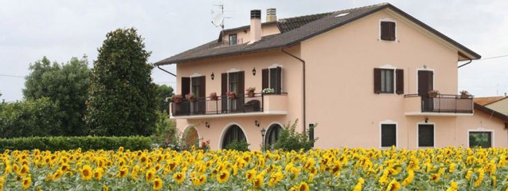 Casa circondata da girasoli, ottima base per scoprire la campagna umbra.