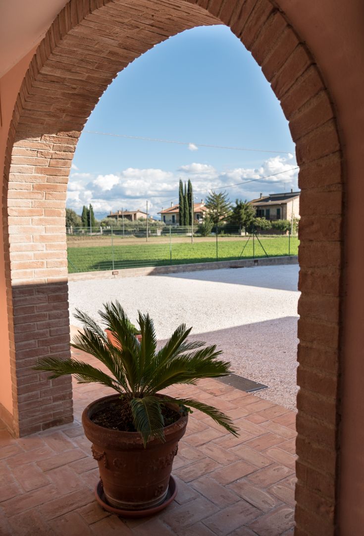Ingresso luminoso con una pianta in un vaso e panorama sul verde circostante.
