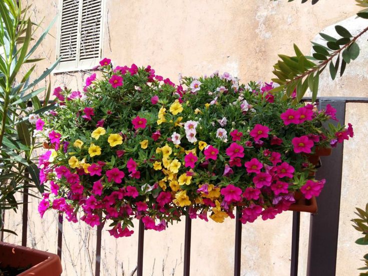 Der Balkon ist mit Blumenkästen mit verschiedenen bunten Pflanzen geschmückt, wodurch eine ruhige und einladende Atmosphäre entsteht.