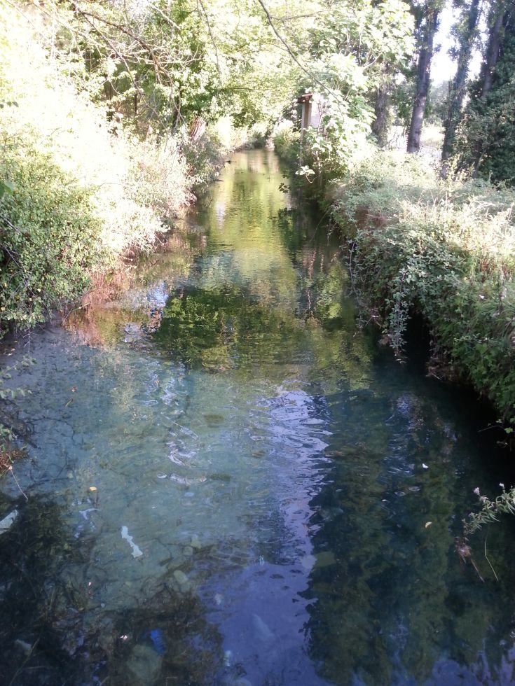 A calm watercourse surrounded by trees and vegetation, reflecting the sunlight.