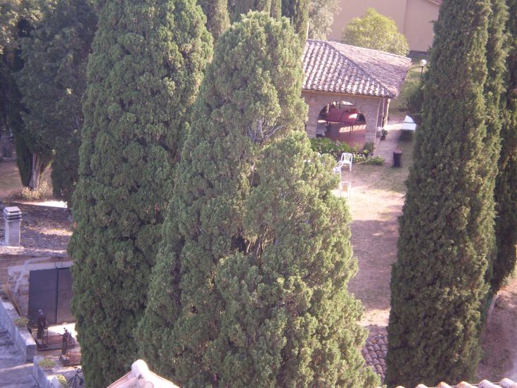 Hohe Bäume umgeben einen einfachen Außenbereich mit einem Pavillon und Stühlen zum Entspannen.