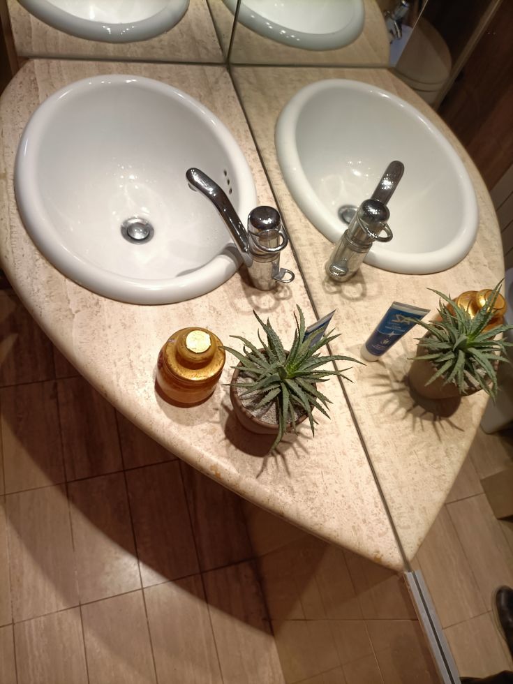 Une salle de bain simple avec des éviers blancs et quelques plantes pour une touche de fraîcheur.