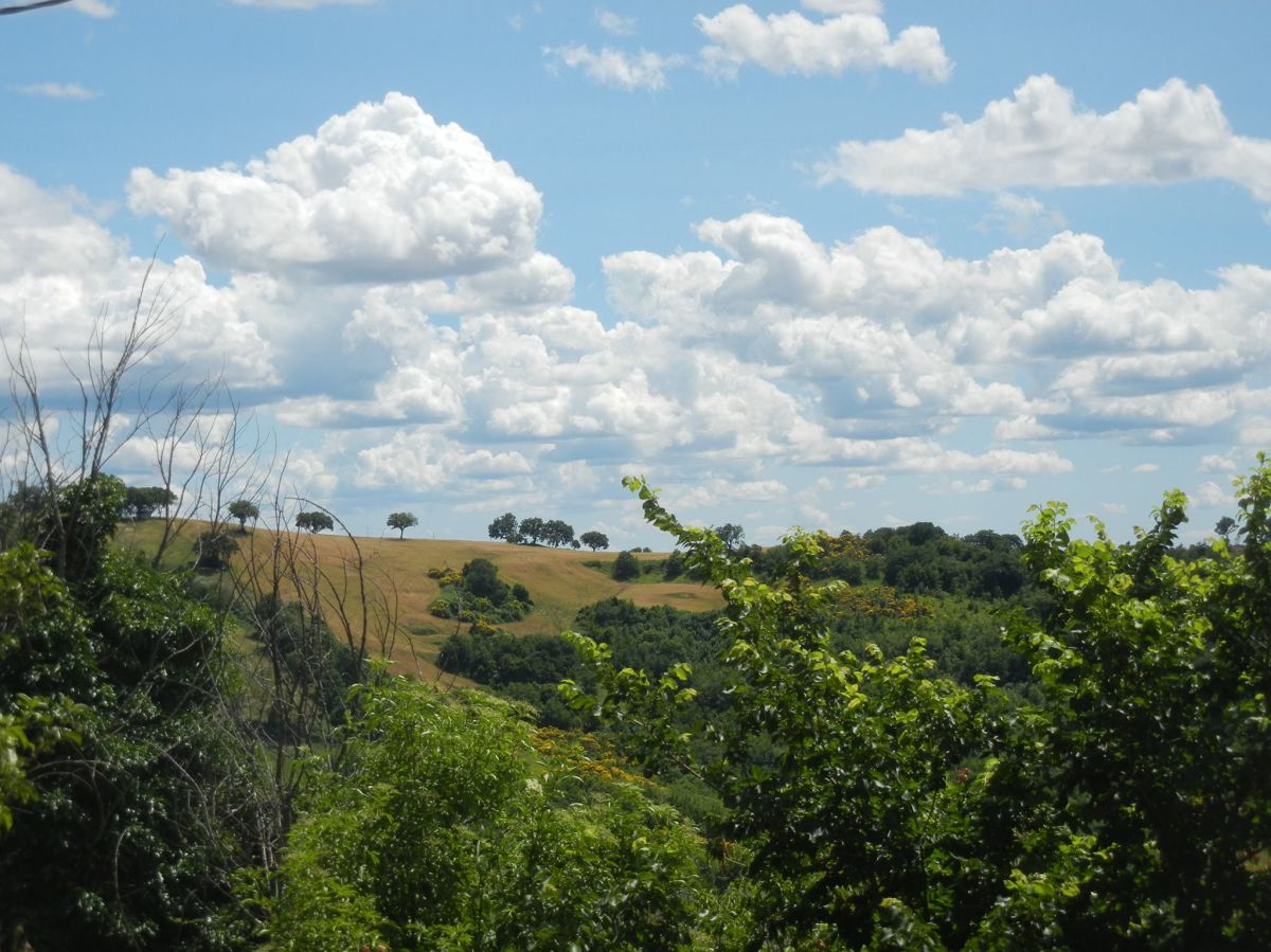 Panorama su colline verdi e nuvole bianche, un angolo tranquillo immerso nella natura.