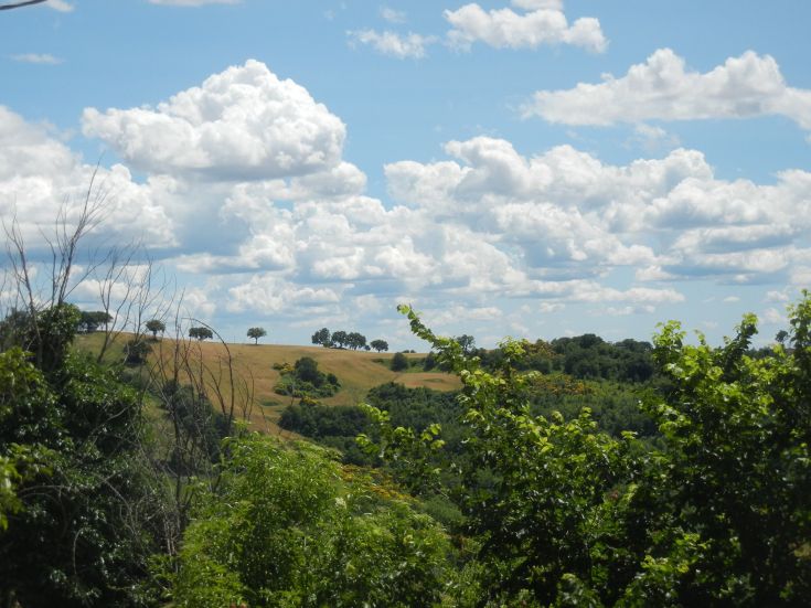 View of green hills and white clouds, a peaceful corner immersed in nature.
