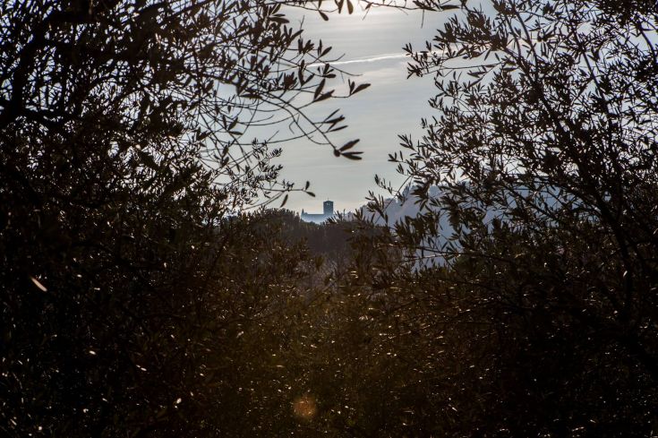 Un luogo tranquillo tra gli ulivi, con uno sguardo sulle colline circostanti dell'Umbria.