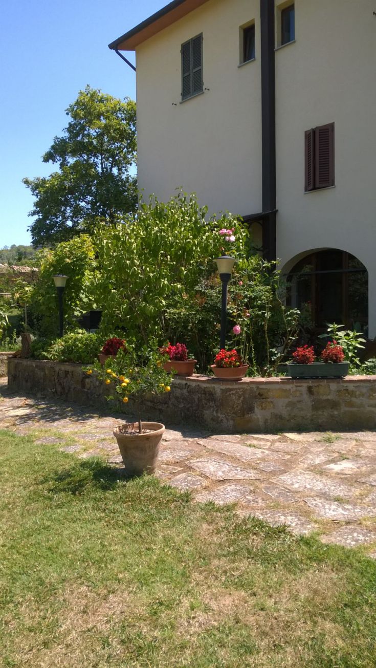 Un semplice casolare circondato da verde, con alcune piante e fiori colorati.