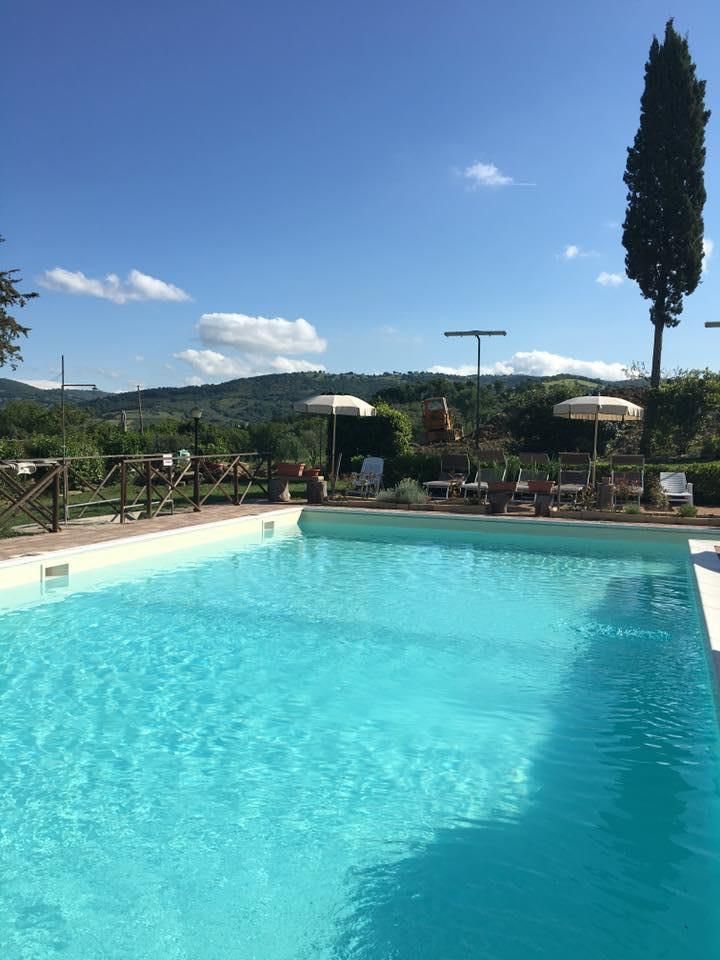 Una piscina trasparente immersa nel verde, perfetta per rilassarsi in tranquillità.