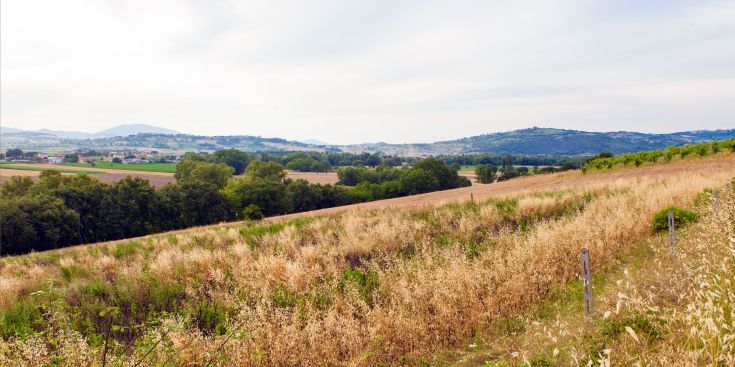 Scena collinare che mostra campi, alberi e un cielo nuvoloso in una zona rurale.