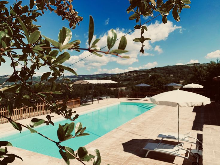 Un'area di svago con piscina adatta al relax, circondata dal verde tipico dell'Umbria.