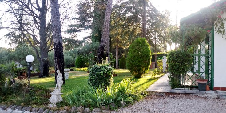 A well-kept garden with plants, trees, and warm sunset lighting.