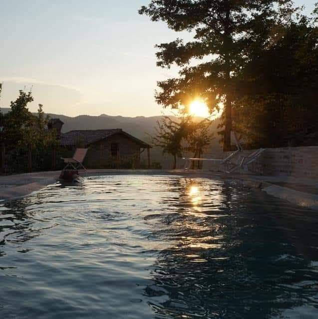 Un coucher de soleil se reflète sur l'eau d'une piscine dans une zone verte et boisée.