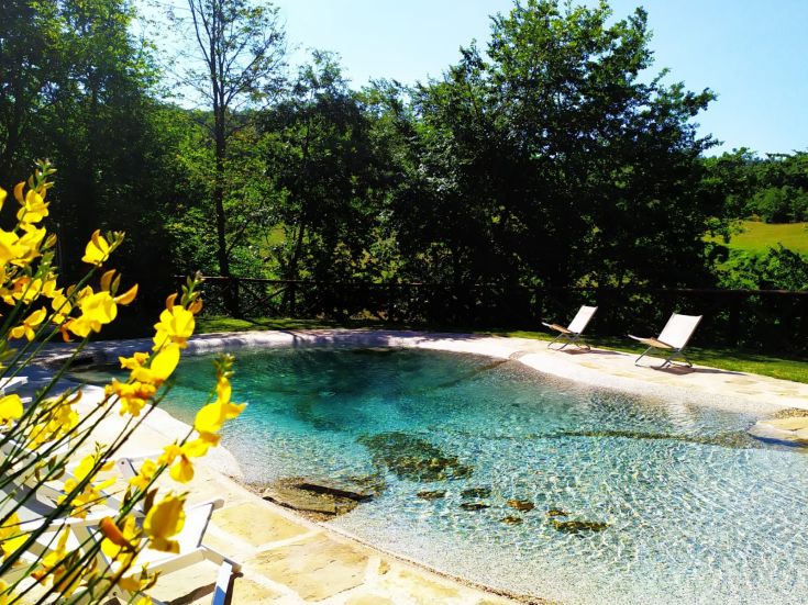 Piscine entourée de fleurs jaunes et de végétation verte luxuriante.