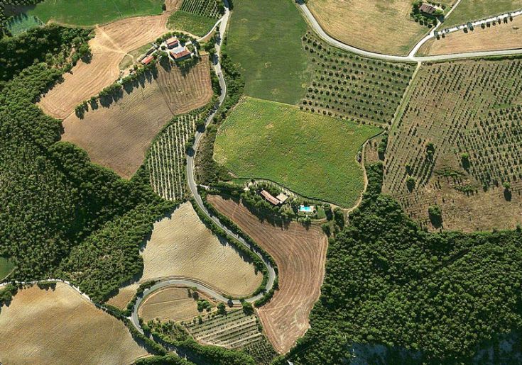Szene einer ländlichen Landschaft mit Ackerland und grüner Vegetation.